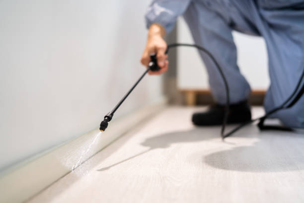 Licensed Termite Control service in Fyffe, AL - Nex Pest Control