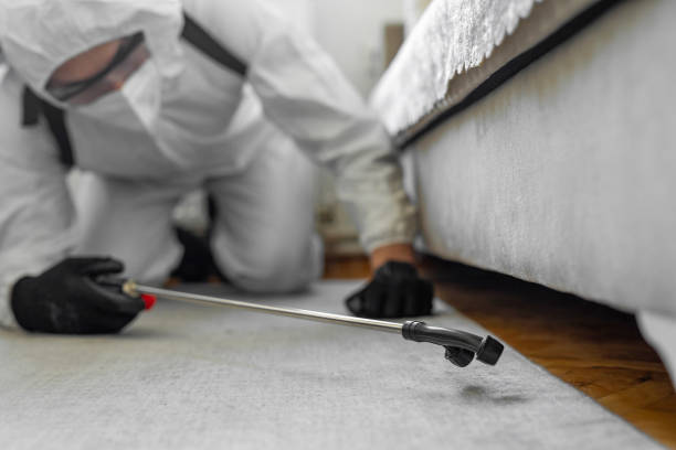 Professional Termite Control technician working in Fyffe, AL