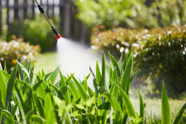 24/7 Emergency Termite Control experts in Fyffe, AL