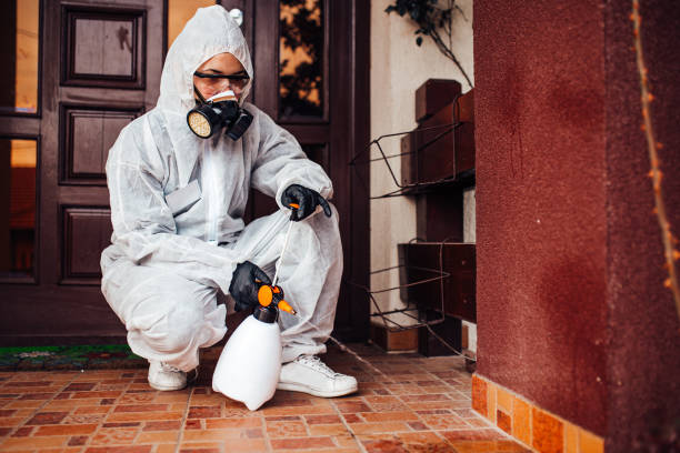 Reliable Termite Control contractor in Fyffe, AL by Nex Pest Control