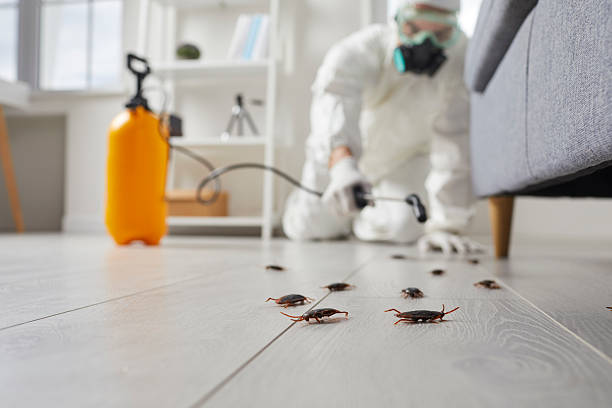 Trusted Rodent Control service in Fyffe, AL - Nex Pest Control