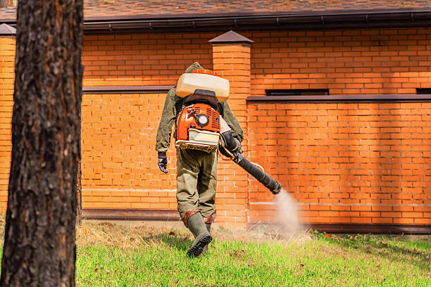 Trusted Cockroach Control service in Fyffe, AL - Nex Pest Control